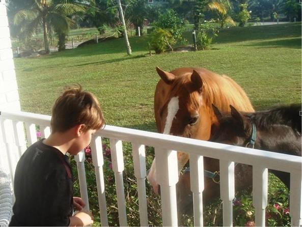 Riders Resort Kulai Dış mekan fotoğraf