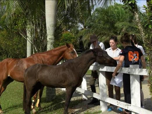 Riders Resort Kulai Dış mekan fotoğraf
